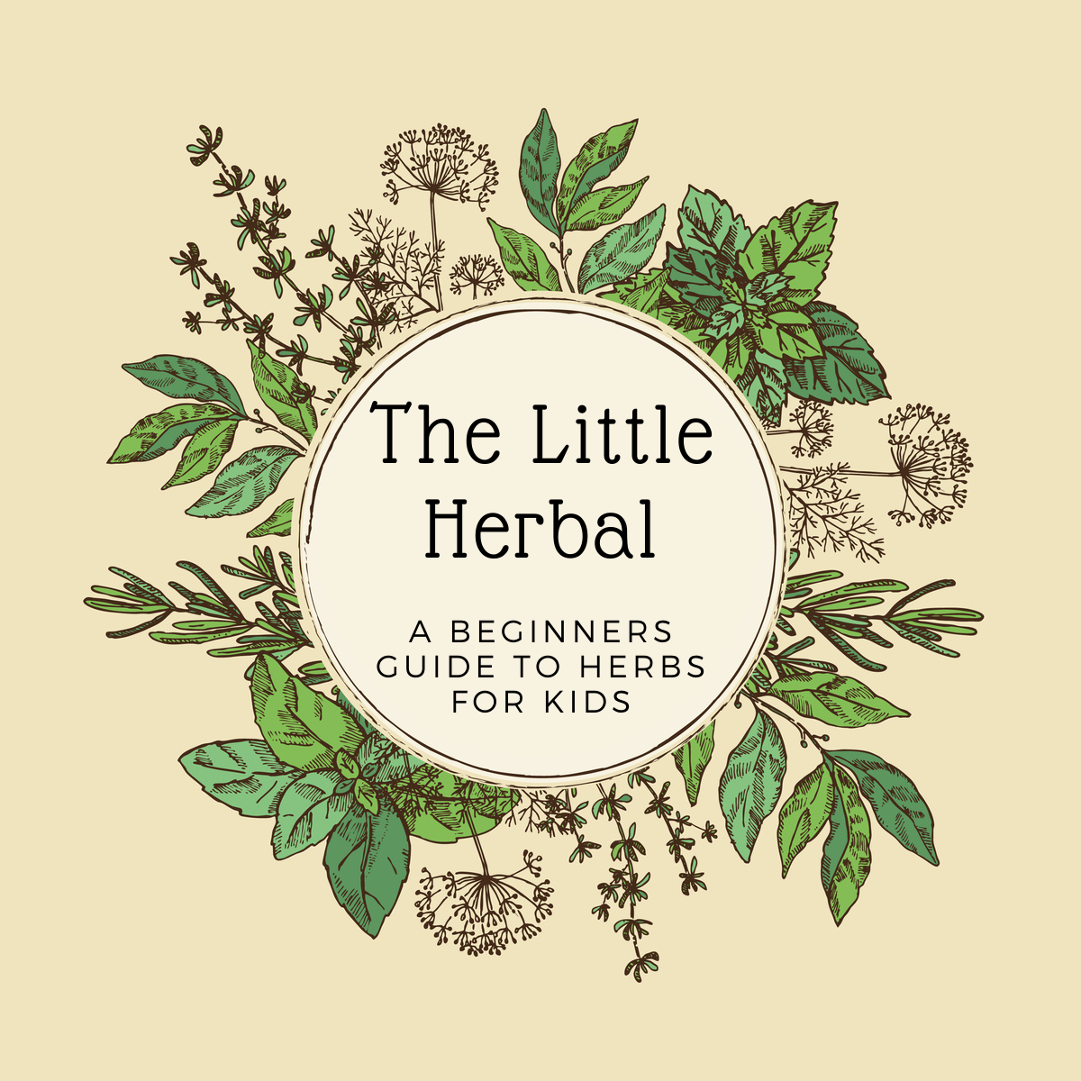 Little Herbal Apothecary Layfayette, CO Shop in Store or Online